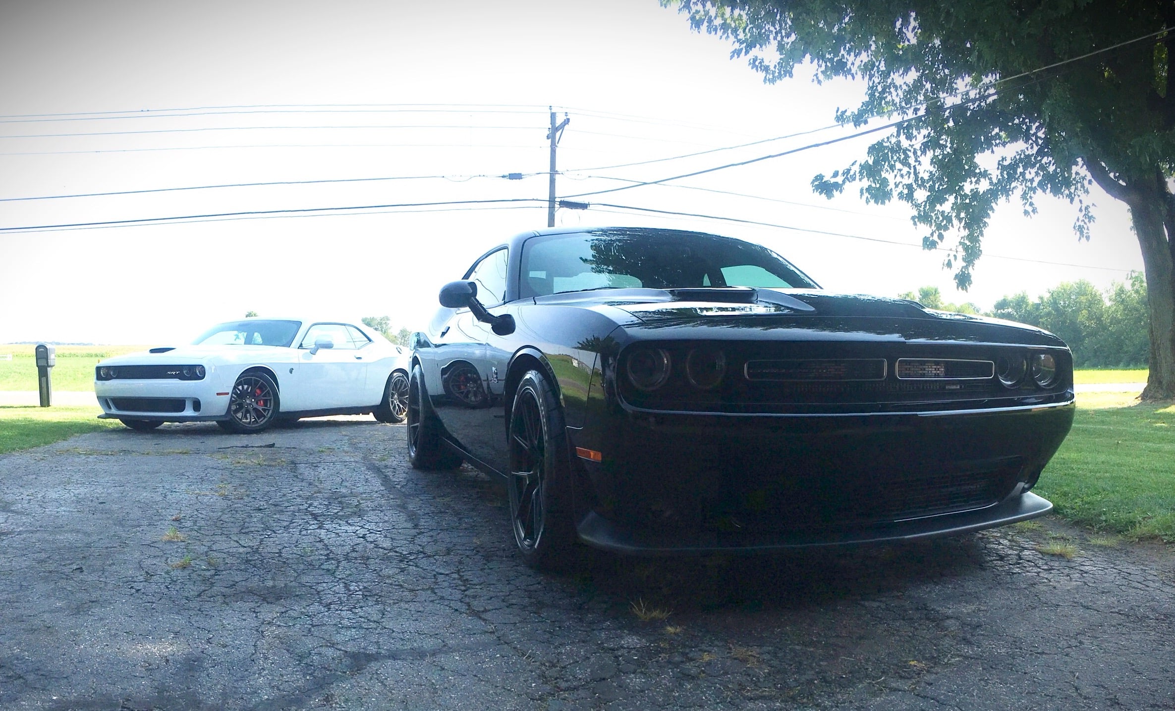 Early Days - 2016 Hellcat and 2015 Scat Pack Challenger